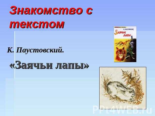 Краткое содержание рассказа «заячьи лапы» к. г. паустовского