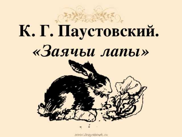 Читательский дневник «заячьи лапы» константина паустовского