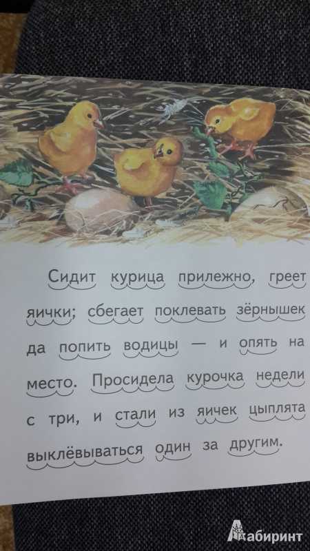 Чужое яичко короткая сказка читать онлайн текст