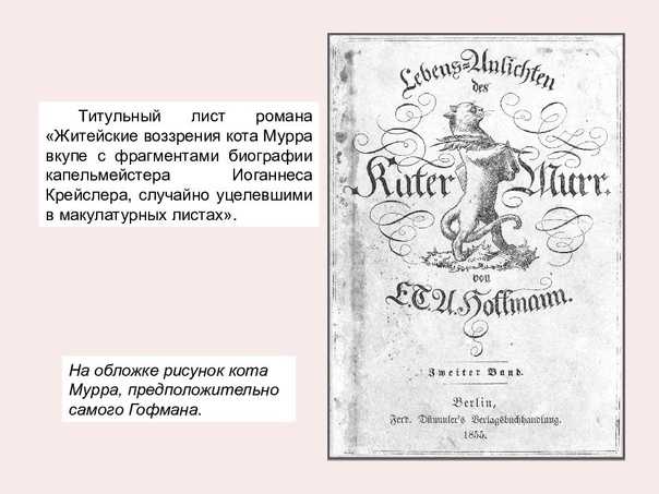 «житейские воззрения кота мурра» за 13 минут. краткое содержание романа гофмана