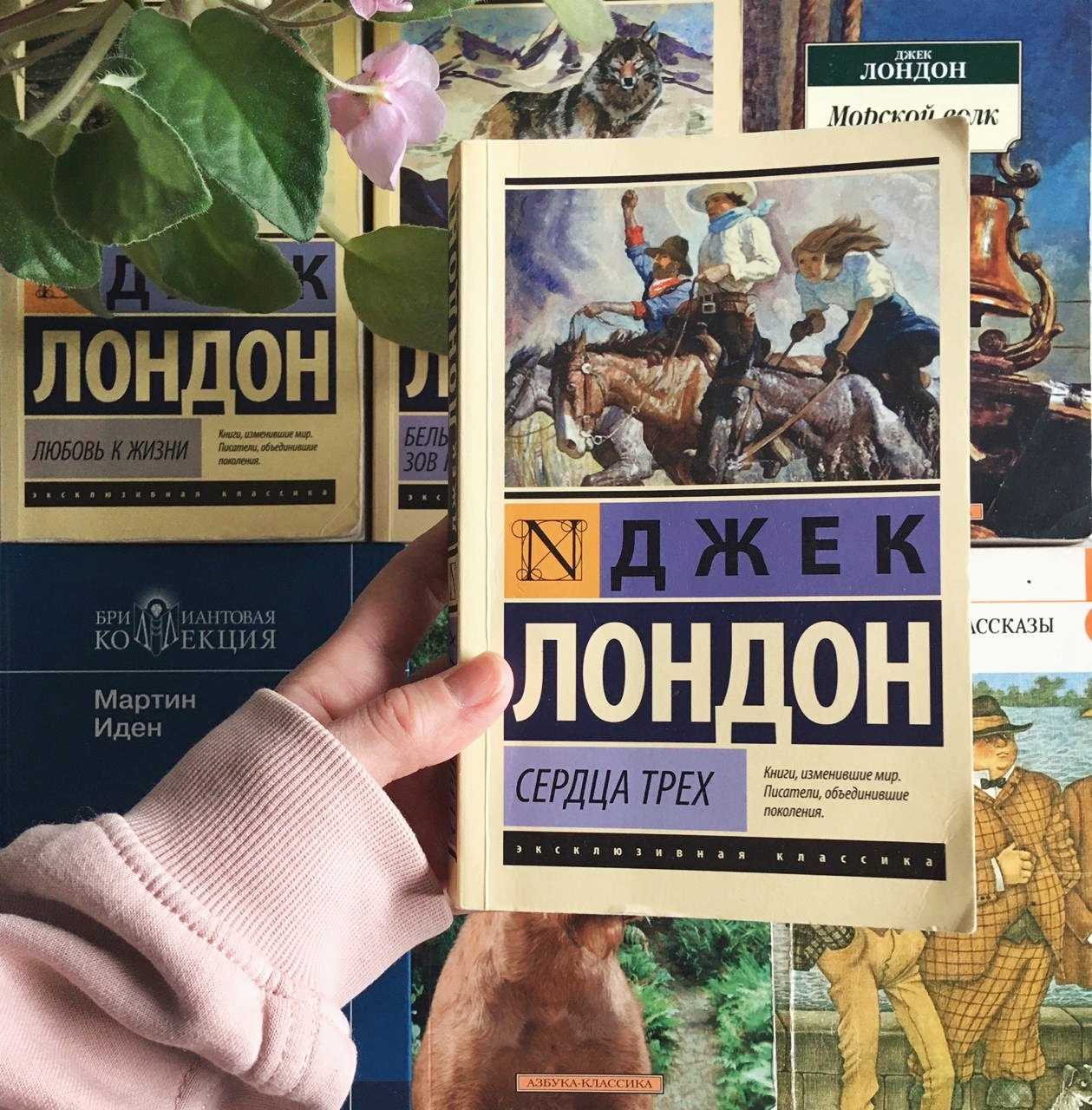 Рабочее движение в англии в конце xix - начале xx века. политический кризис в стране накануне первой мировой войны