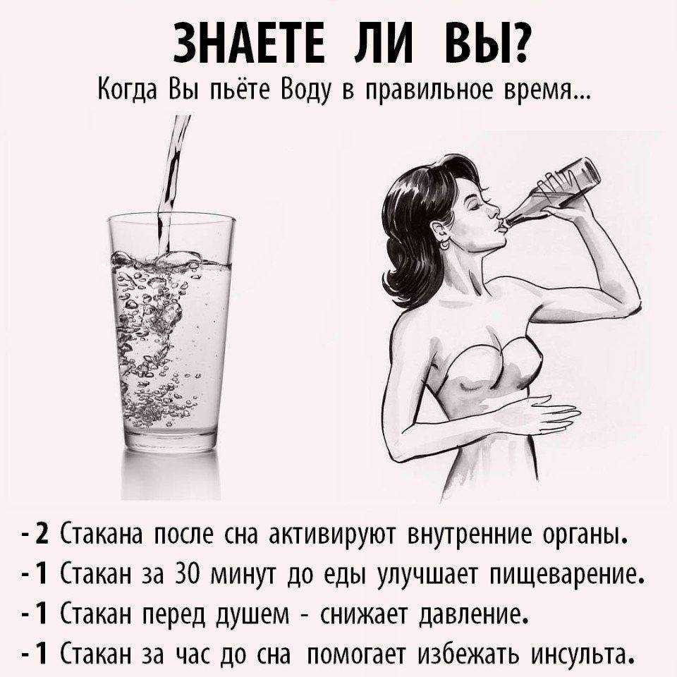 «стакан воды» за 8 минут. краткое содержание комедии скриба