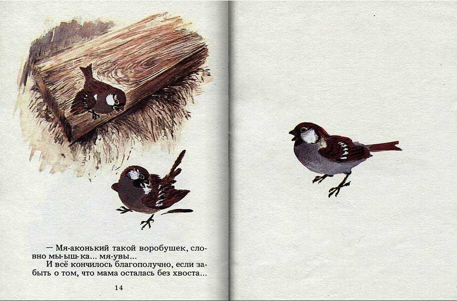 Евгений чарушин ★ воробей читать книгу онлайн бесплатно