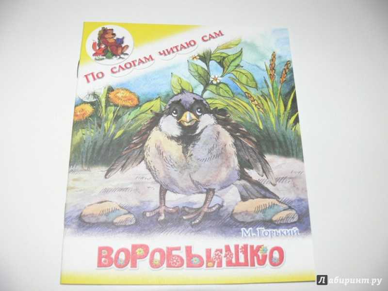 10 учёных, которые доказали (?), что бог существует