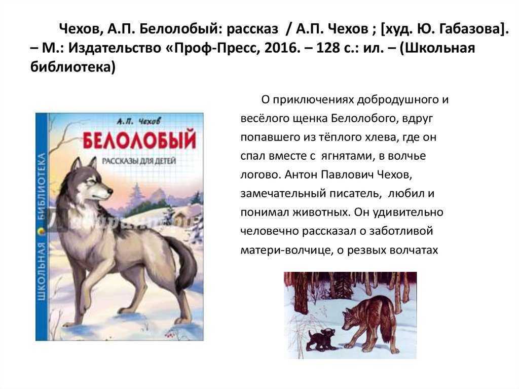 Краткое содержание каштанка 3 класс. Рассказ белолобый Чехов. Рассказ п а Чехов белолобый. Аннотация к рассказу белолобый Чехова. Чехов белолобый читательский дневник.