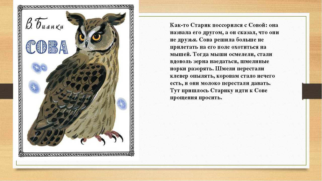 Про сову - сказка натальи абрамцевой – сказки. рассказы. стихи.