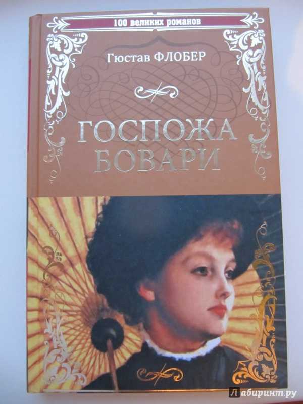«госпожа бовари» краткое содержание романа флобера – читать пересказ онлайн
