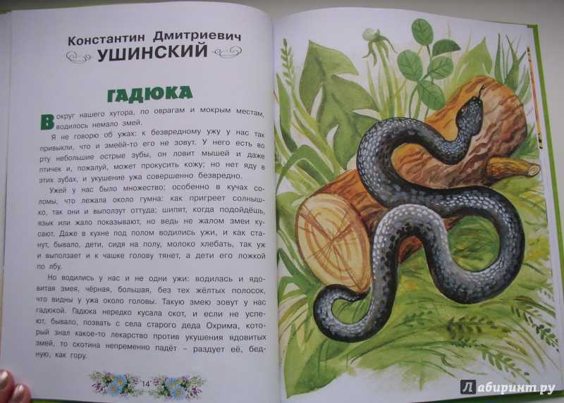 Краткое содержание блеск и нищета куртизанок бальзака