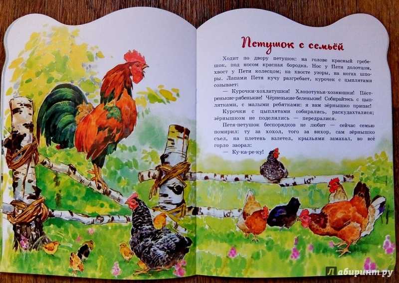 Жар-птица 🌟 толстогой а. н. читаем волшебную сказку детям