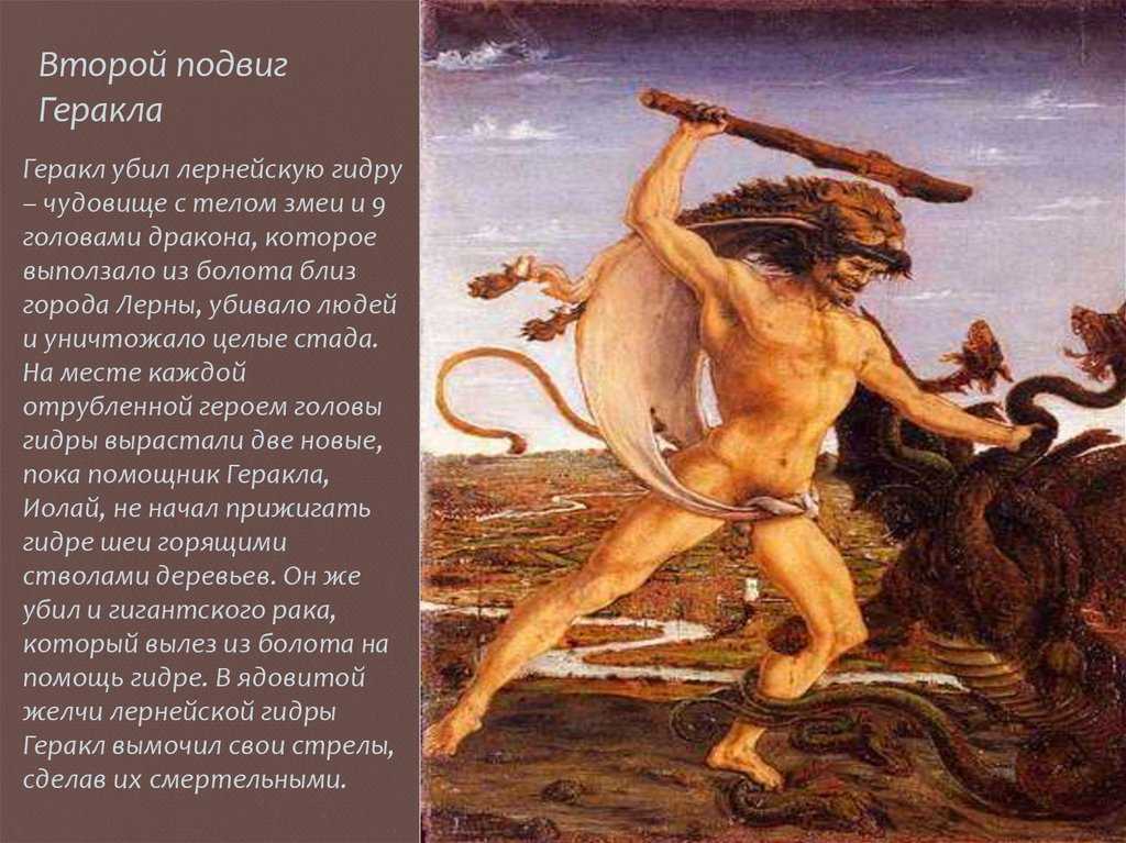 Приключения одиссея (странствия одиссея)
