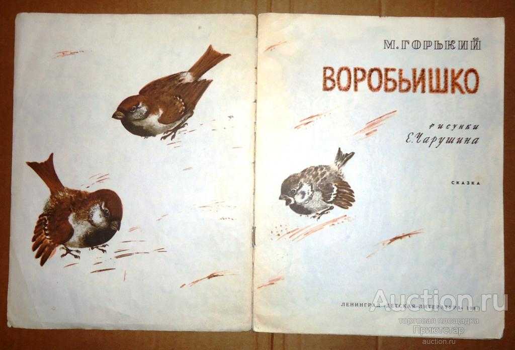 Большой секрет библии, о котором почти все молчат — д̅у̅х̅о̅в̅н̅о̅е̅ р̅а̅з̅в̅и̅т̅и̅е̅💖 (𝕁𝕒ℕ𝕖𝕐𝕒 ) — newsland