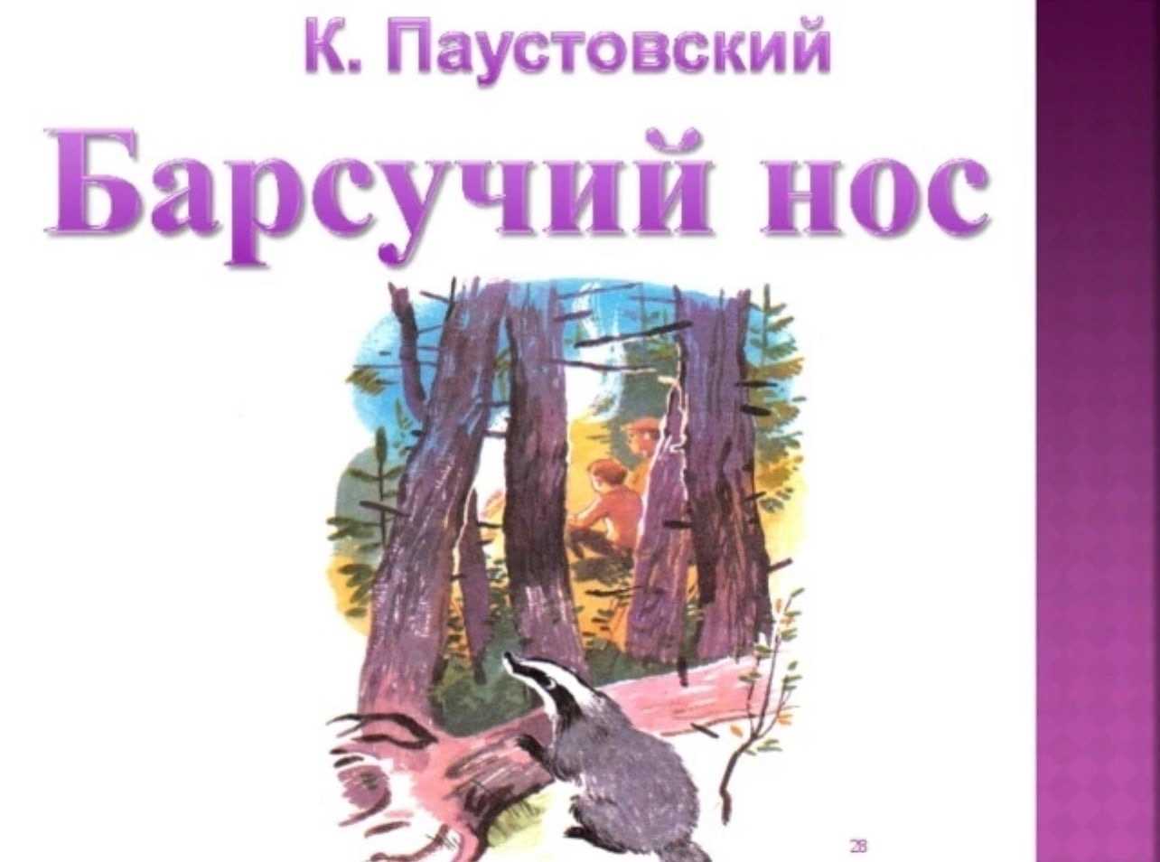 Барсучий нос - сказки паустовского: читать с картинками, иллюстрациями - сказка dy9.ru
