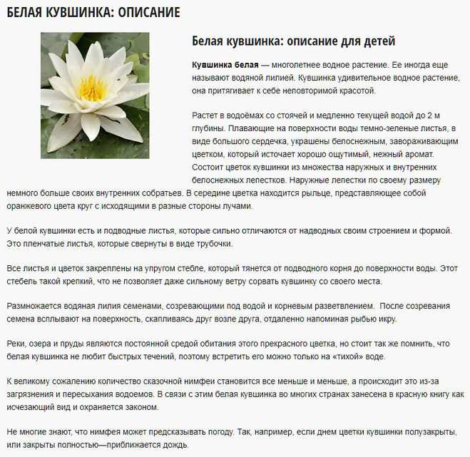 Краткое содержание мамин-сибиряк вертел для читательского дневника, читать краткий пересказ онлайн
