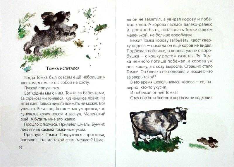 Друзья