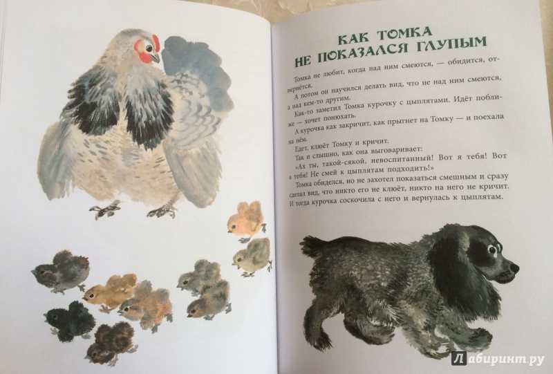 Произведения евгения чарушина для детей. читать онлайн