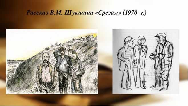 Краткое содержание рассказа «срезал» в. шукшина