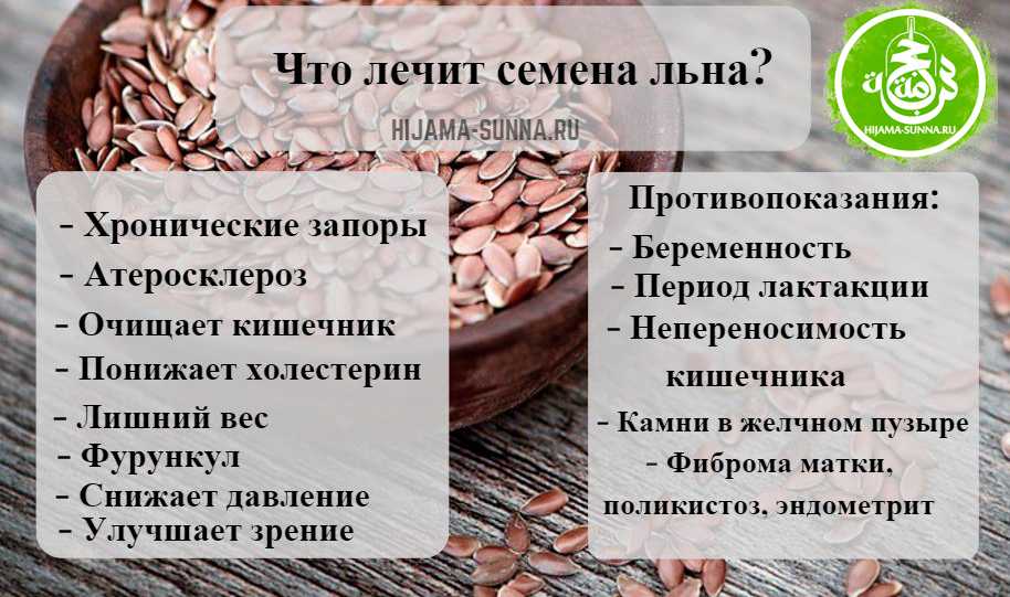 Повесть в. закруткина «матерь человеческая»: краткое содержание