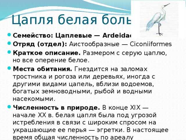 Сказка вертел читать онлайн дмитрий мамин-сибиряк