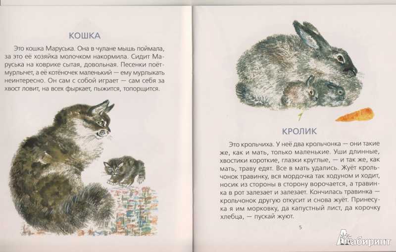 Конспект по речевому развитию «рассказ е. чарушина «воробей»»