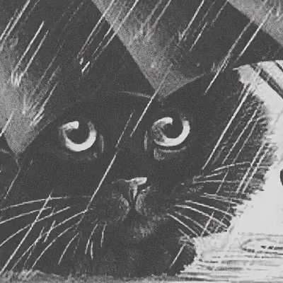 Кошка под дождем хемингуэй