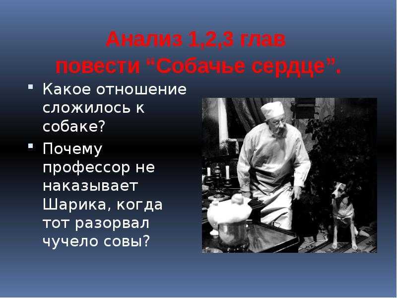 Смотреть в сокращении богомолова иван. сочинение по рассказу богомолова иван