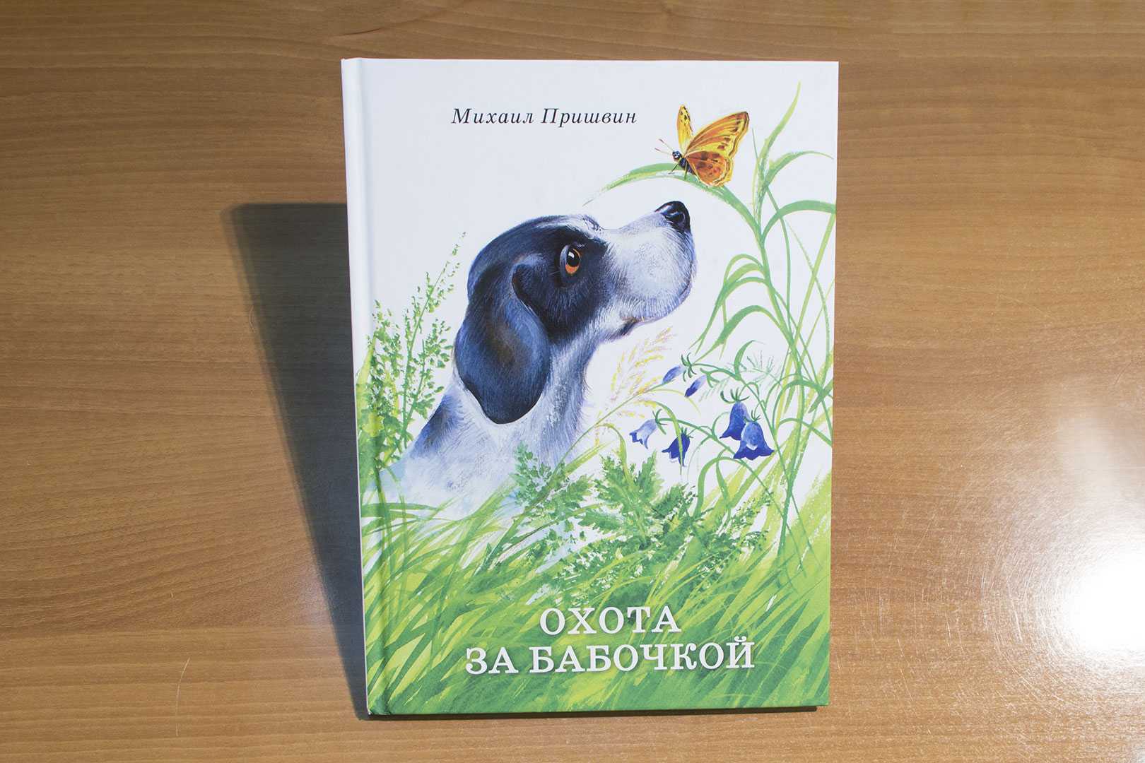 Пришвин медведь муравьи охота за бабочками