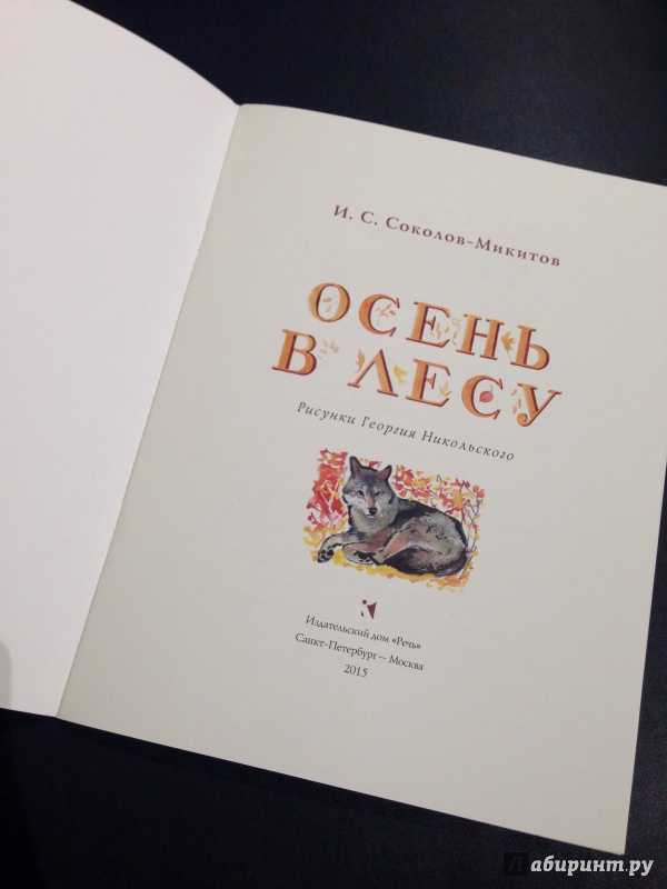 .русский лес