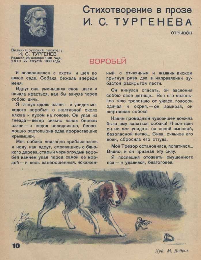 Алгоритм работы над сочинением-рассуждением 9.3. | педагогический портал «тривиум»