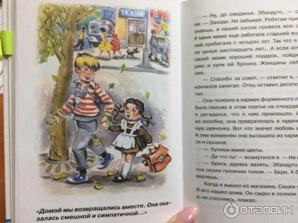 Железников в. «чудак из шестого «б» читательский дневник, краткое содержание