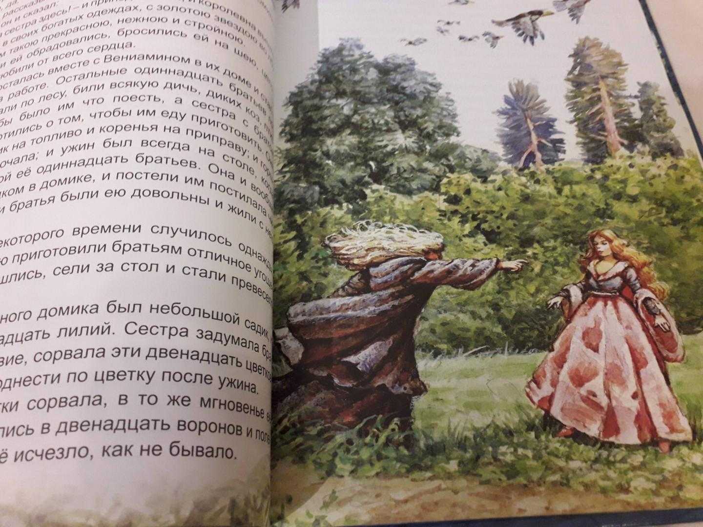 Детские сказки читать онлайн - детские сказки лиса и лошадь - сказка братьев гримм - гримм сказки - сказки братьев гримм - сказки братья гримм