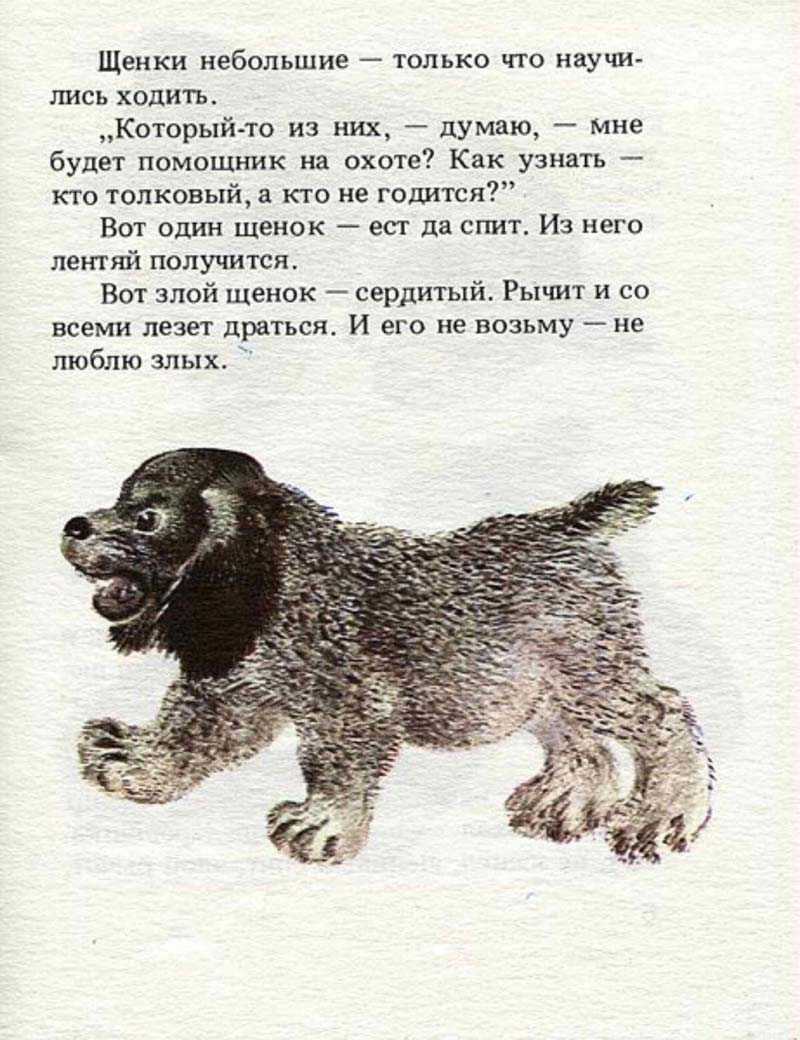 Евгений чарушин — тюпа, томка и сорока
