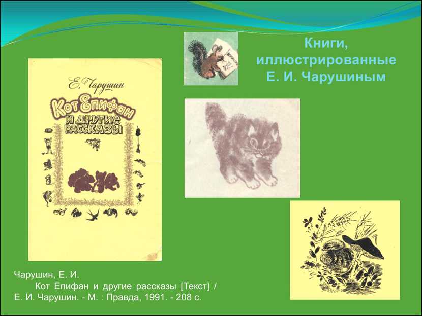 Кот епифан  — рассказ евгения чарушина
