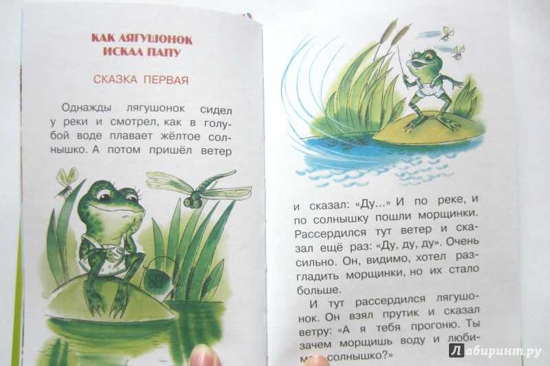 Про чудака лягушонка - геннадий цыферов