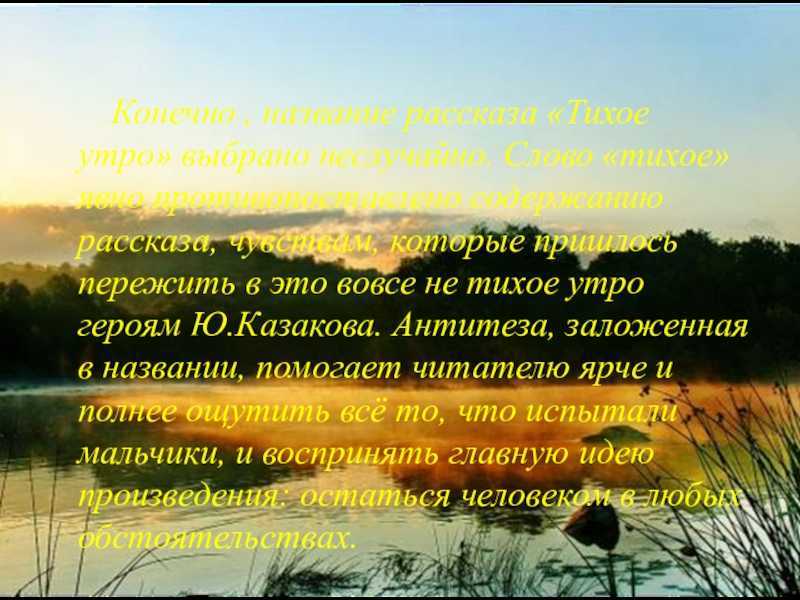 Краткое содержание «тихое утро»