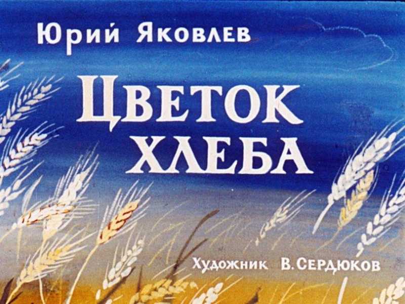 Многие дети прошли ужасы войны и очень хорошо знали, что значит быть голодными В этом рассказе ребенок рассказывает о своих мыслях и простых желаниях, одним из которых является одно только - быть сытым