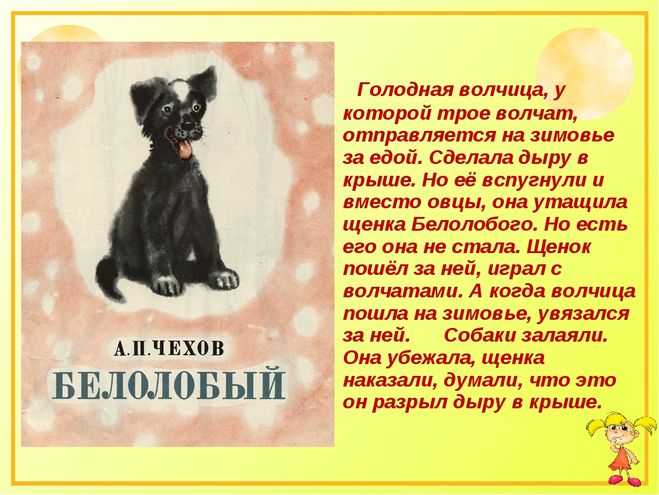 Витающие в облаках. как метеорологи «предсказывают» будущее | общество | аиф камчатка