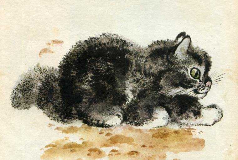 Кот епифан  — рассказ евгения чарушина