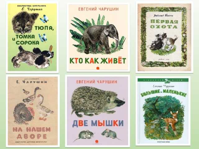 Презентация на тему е. и. чарушин "большие и маленькие"