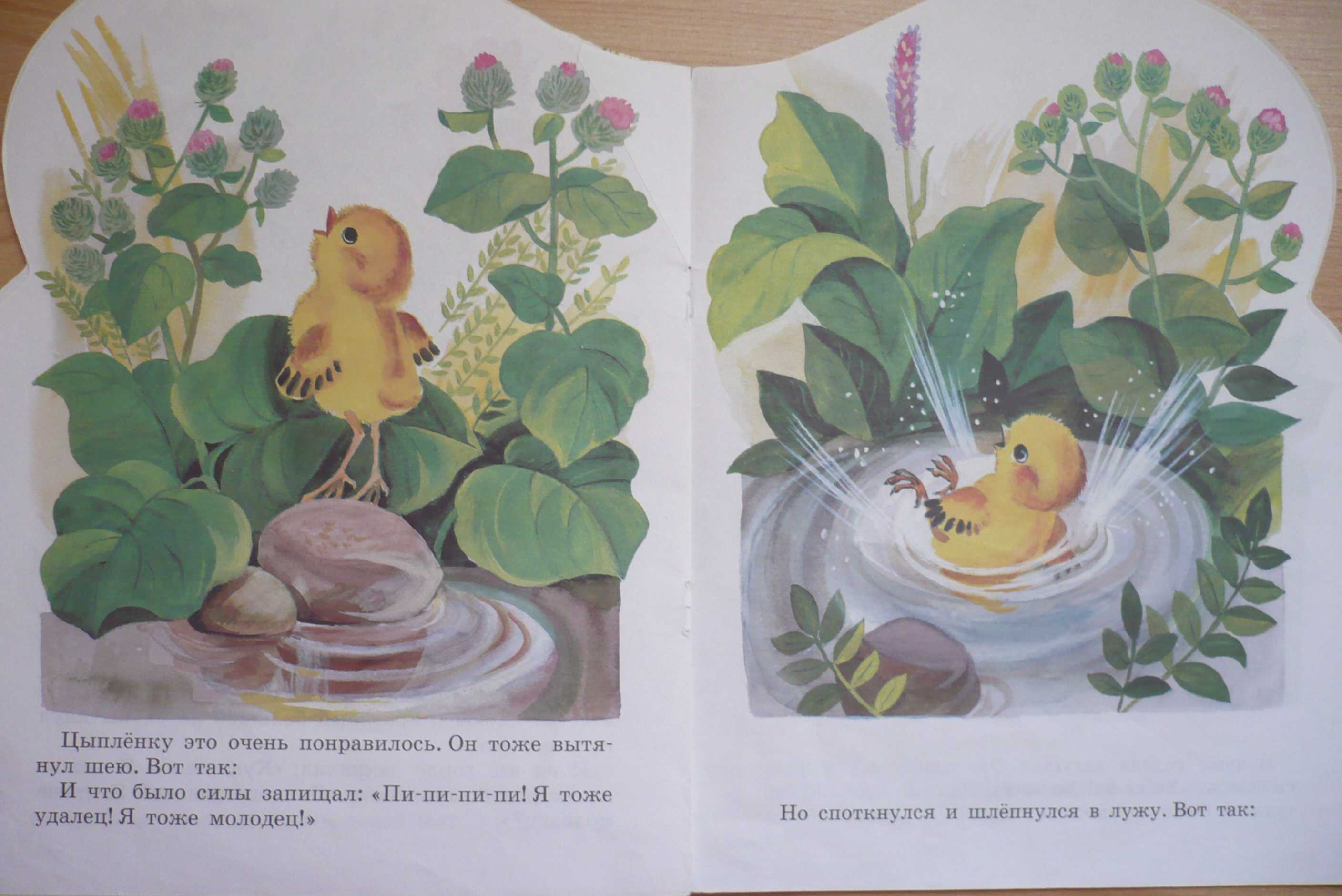 Сказка цыпленок чуковского читать