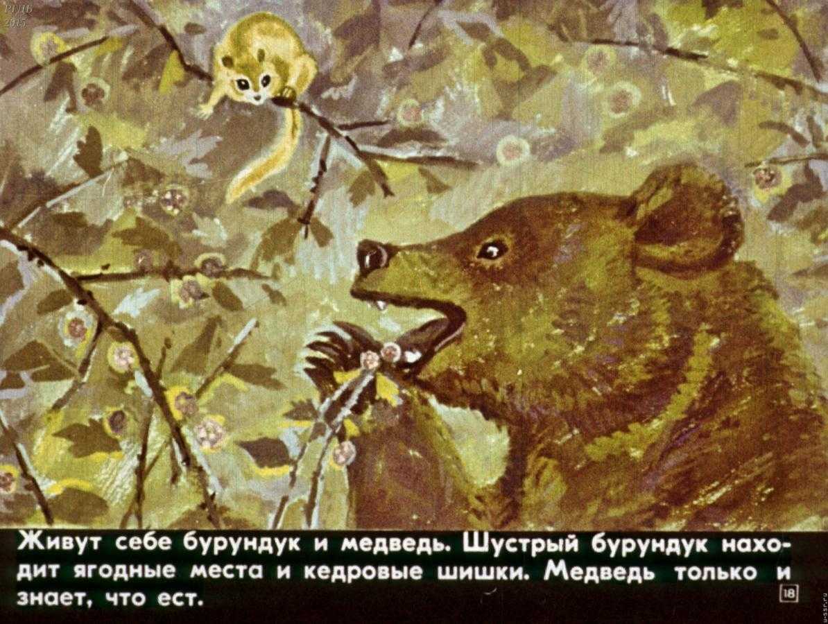 Как медведь и бурундук дружить перестали