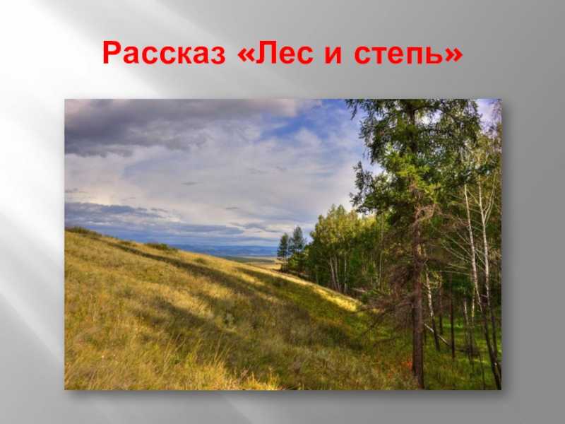 «лес и степь» — краткое содержание рассказа и.с. тургенева