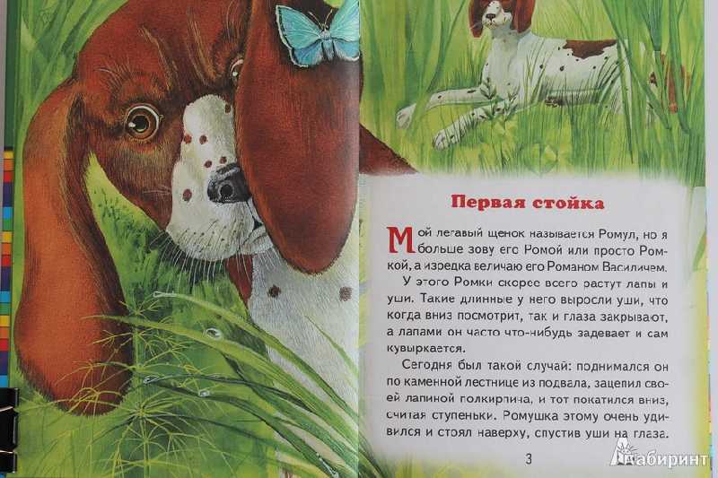 Рассказы пришвина для 3 класса читать короткие