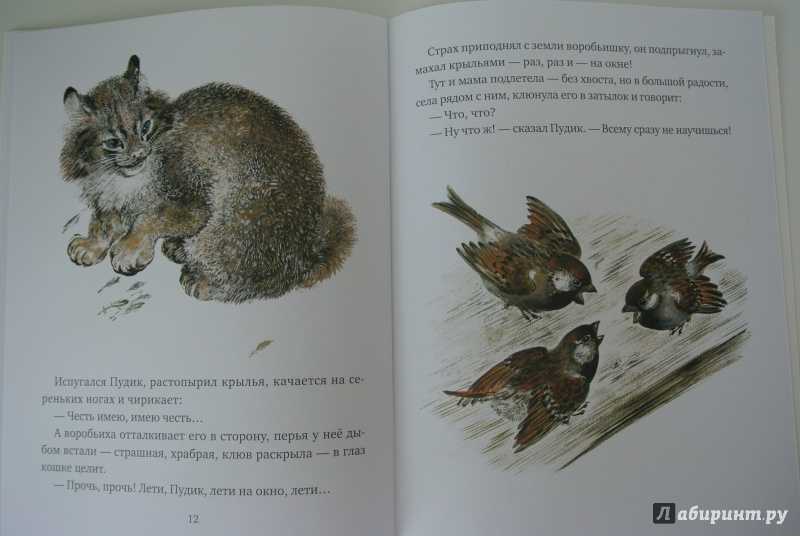 Максим горький ★ воробьишко читать книгу онлайн бесплатно