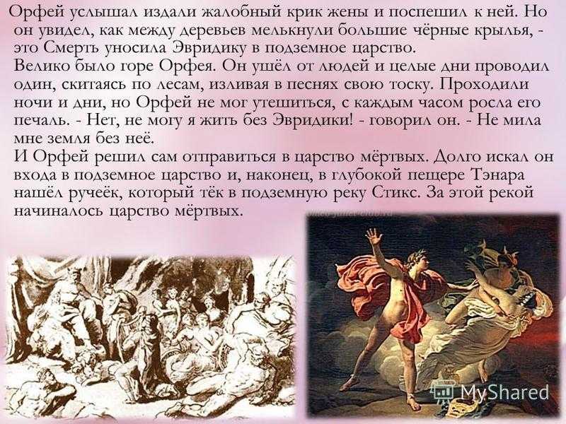 Миф орфей в подземном царстве читать. орфей и эвридика – мифы древней греции