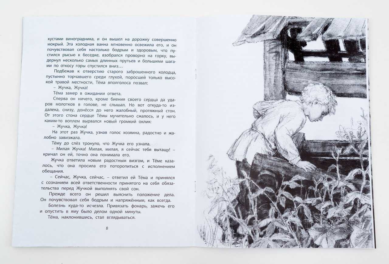 Краткое содержание сказки тёма и жучка гарина-михайловского (сюжет произведения)