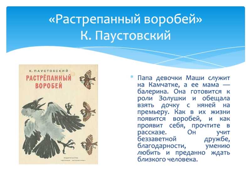 Растрепанный воробей. Паустовский растрёпанный Воробей слушать. Пересказ от имени Маши растрепанный Воробей. Паустовский растрёпанный Воробей читать полностью весь текст. Слушать рассказ Паустовского растрёпанный Воробей.