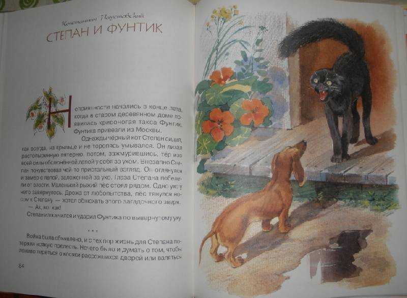 Жильцы старого дома