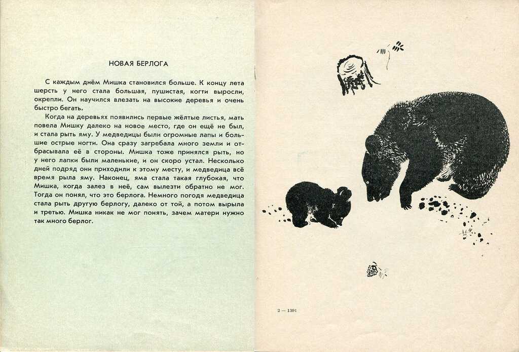Мишки — рассказ евгения чарушина