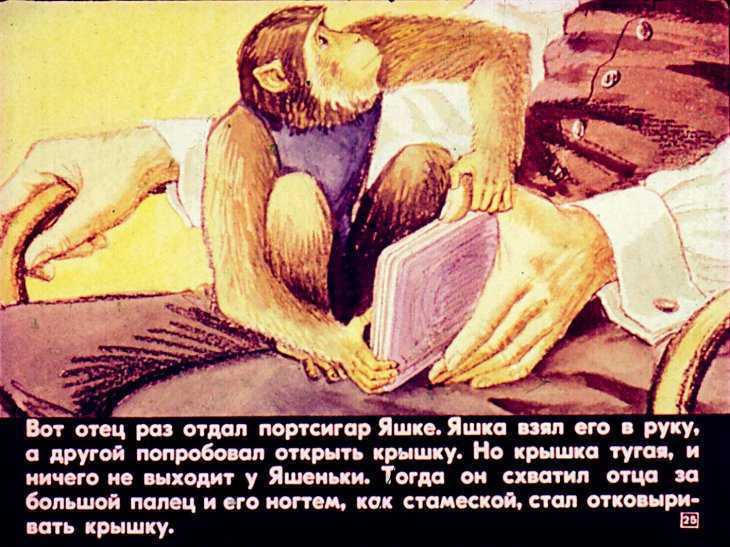 Про обезьянку - рассказ бориса житкова - читать онлайн