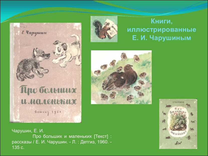 Чарушин волчишка читать. Чарушин рассказы для детей иллюстрации.